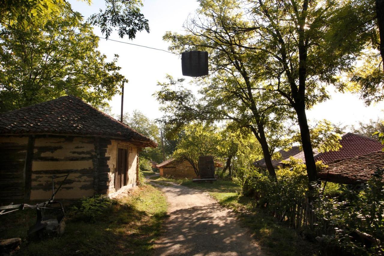 "Pivnica I Smestaj Jovanovic"- Rogljevacke Pivnice Rogljevo Exterior foto