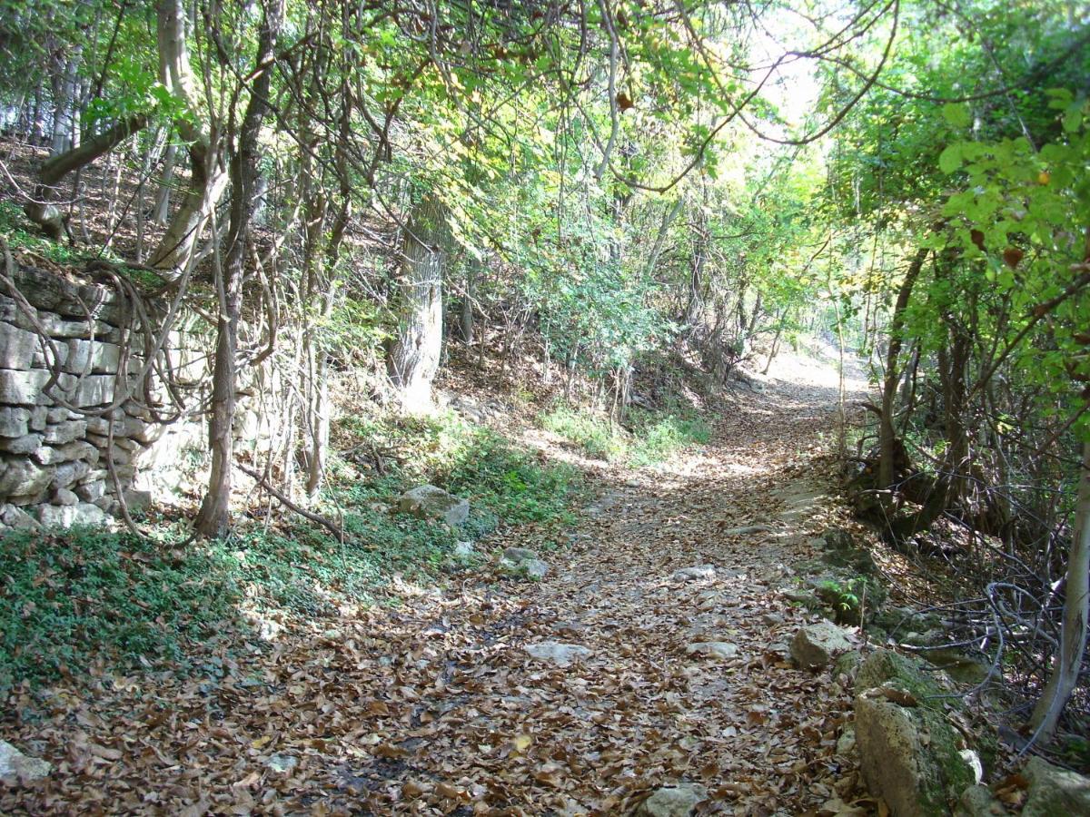 "Pivnica I Smestaj Jovanovic"- Rogljevacke Pivnice Rogljevo Exterior foto