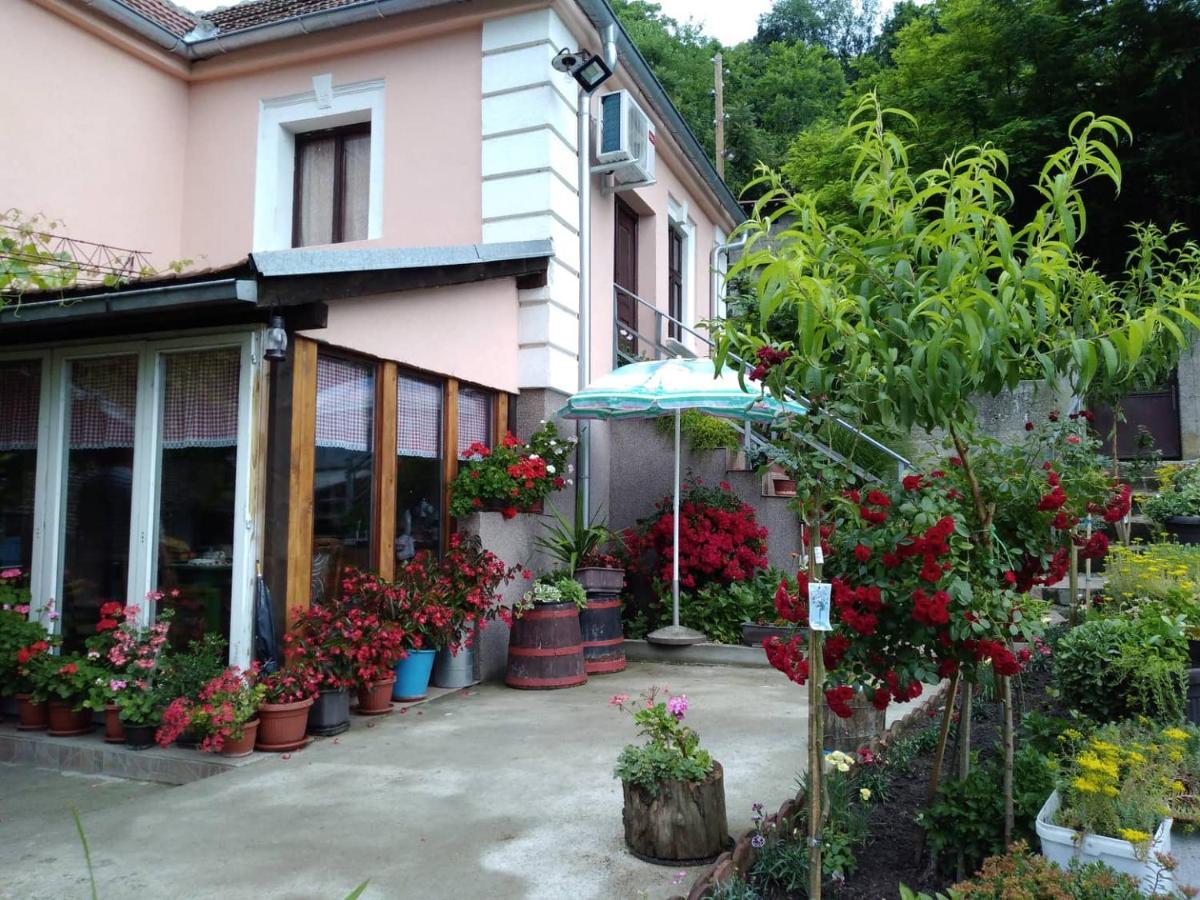 "Pivnica I Smestaj Jovanovic"- Rogljevacke Pivnice Rogljevo Exterior foto