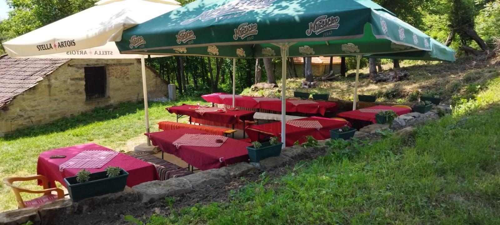 "Pivnica I Smestaj Jovanovic"- Rogljevacke Pivnice Rogljevo Exterior foto