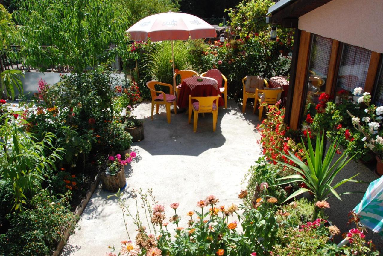 "Pivnica I Smestaj Jovanovic"- Rogljevacke Pivnice Rogljevo Exterior foto