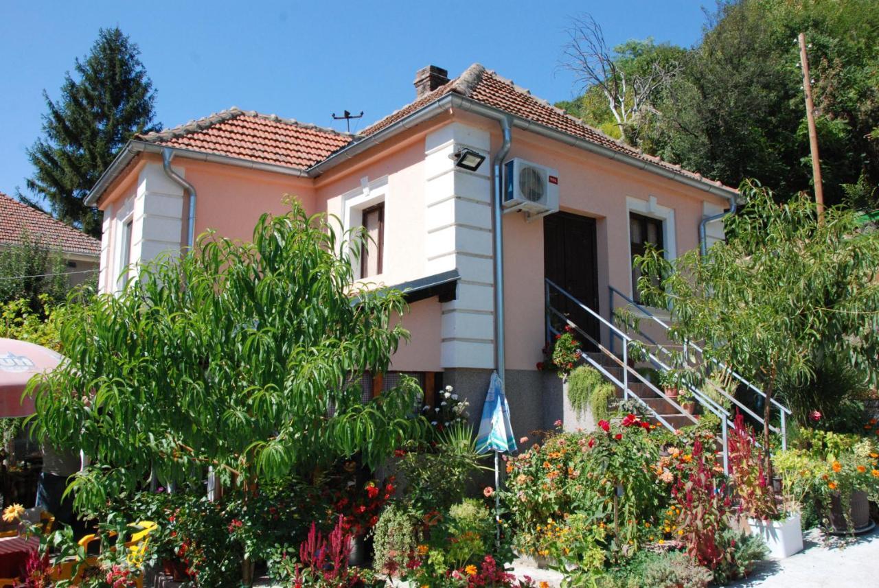 "Pivnica I Smestaj Jovanovic"- Rogljevacke Pivnice Rogljevo Exterior foto